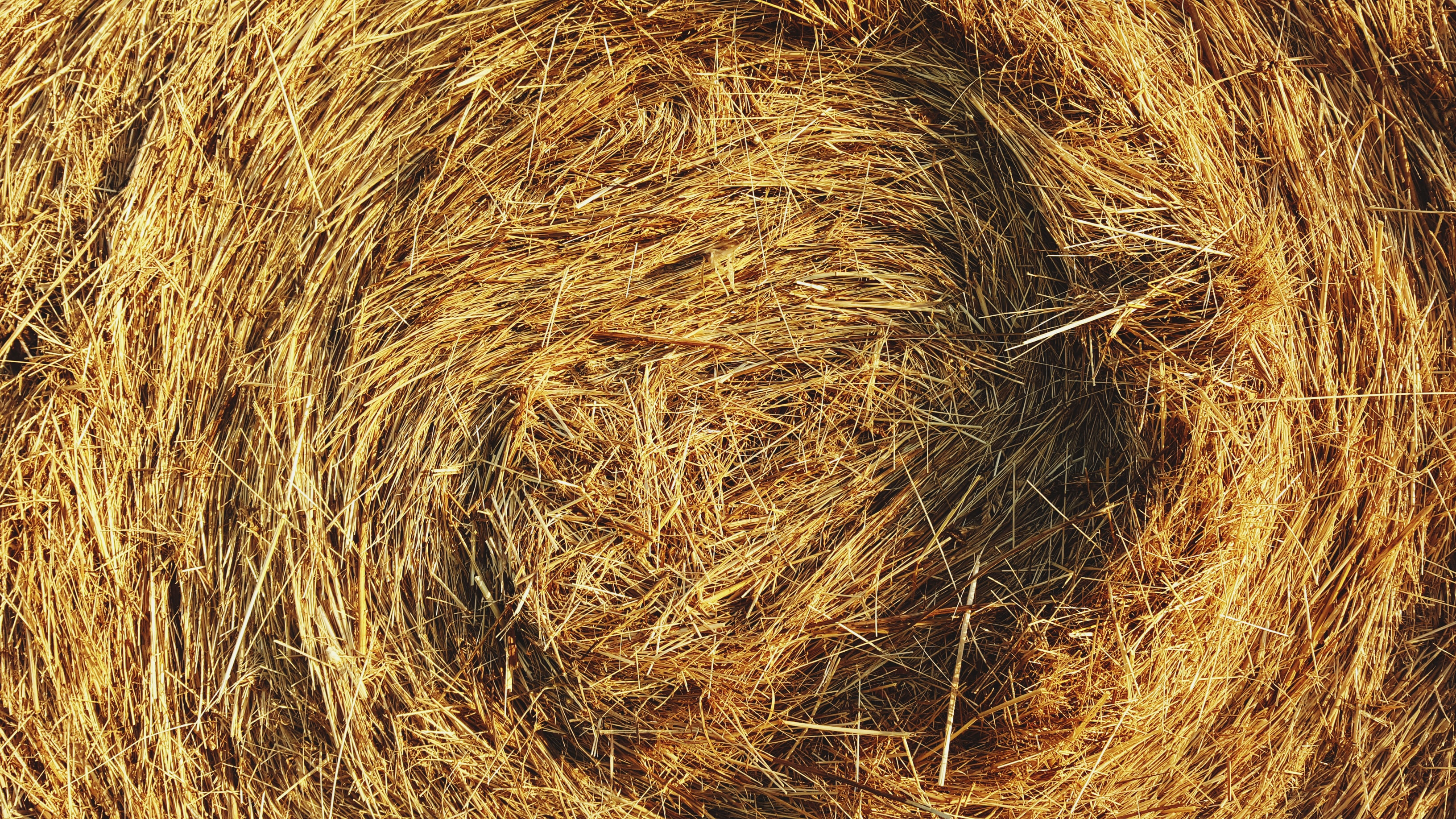 While doing code reviews, we are not looking for the needle in the haystack